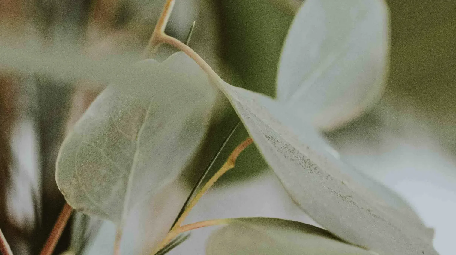 6d6859eb0b55177d5fb79567ec26d54afaaad510